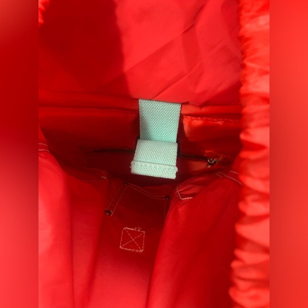 VS PINK UNIVERSITY RED VINTAGE BACKPACK - Picture 14 of 14